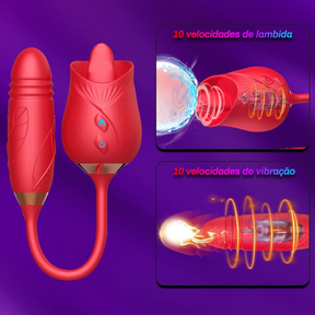 Tulipa 2 EM 1